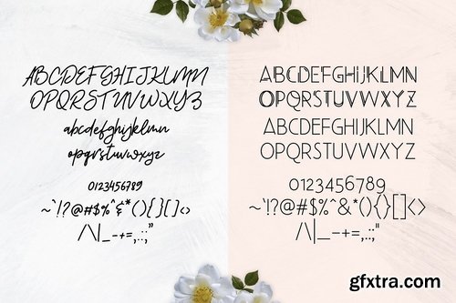 Beauty Salon Modern Font Duo 2543059