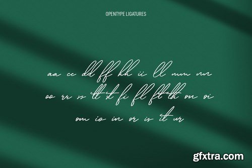 Qualyters Script Font