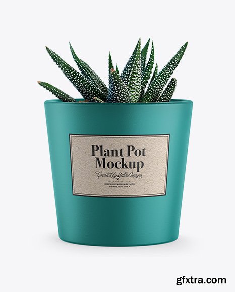 Ceramic Plant Pot Mockup
