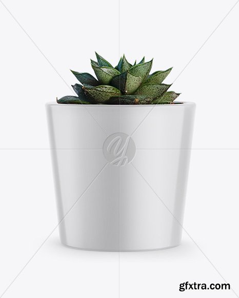 Glossy Plant Pot Mockup 36681