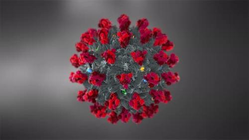 Videohive - Gray Covid 19 Sars Cov 2 Virus Model Spike Proteins Seamless Loop - 35196966 - 35196966