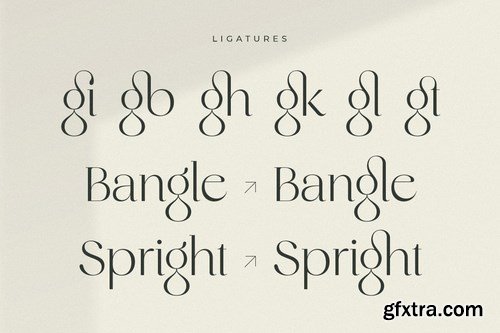 Original - Classy Branding Font