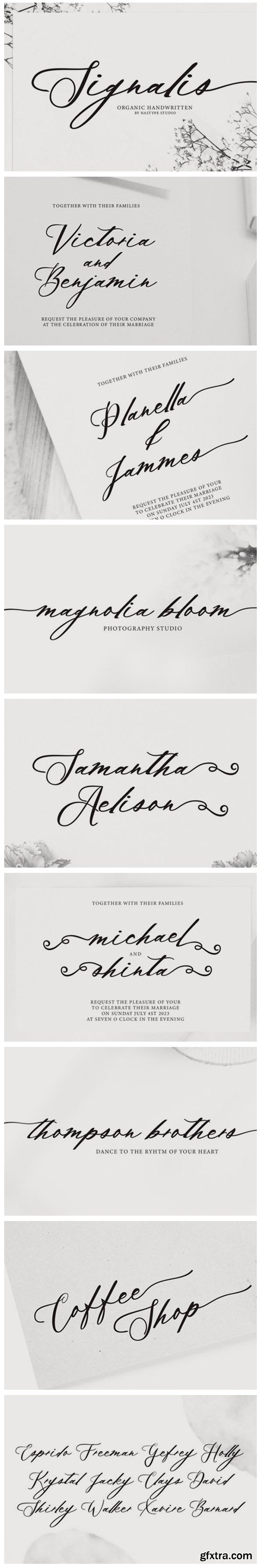 Signalis Script Font