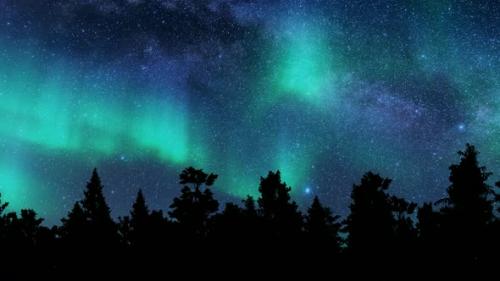 Videohive - Aurora Northern Lights Trees Vacation Travel Winter Forest Landscape Starry Sky - 35210396 - 35210396