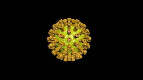 Videohive - Mutation Virus in 3d Style Epidemic Pandemic Medical Science Coronavirus Vaccine - 35210509 - 35210509