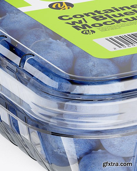 Container w/ Blueberries Mockup 42354