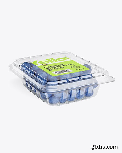 Container w/ Blueberries Mockup 42354