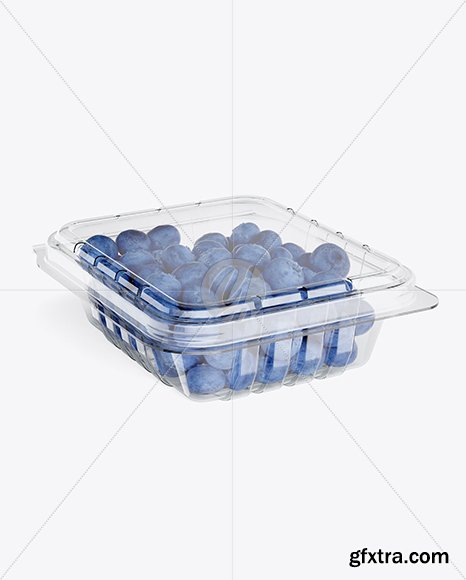 Container w/ Blueberries Mockup 42354