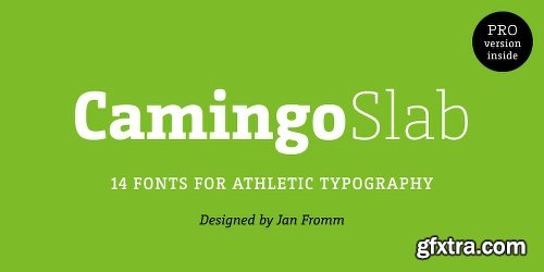 Camingo Slab Font Family - 28 Fonts