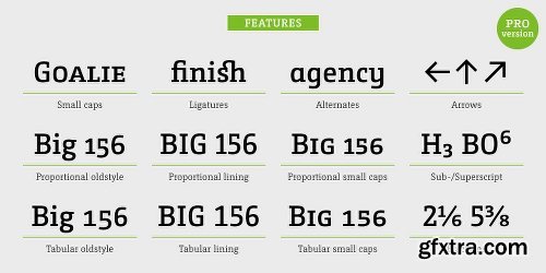 Camingo Slab Font Family - 28 Fonts