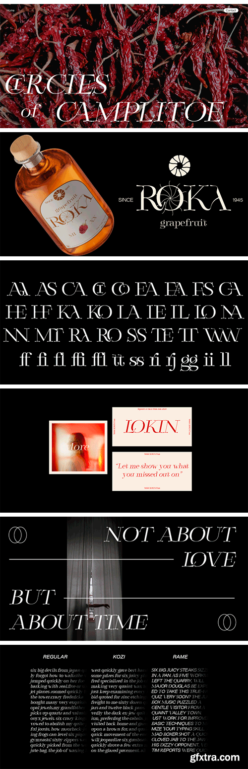 Zt Sigata Font Family