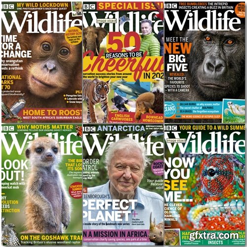 BBC Wildlife - 2021 Full Year Issues Collection