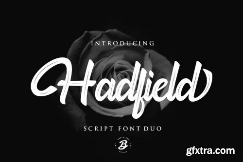 Hadfield Script Font Family - 2 Fonts