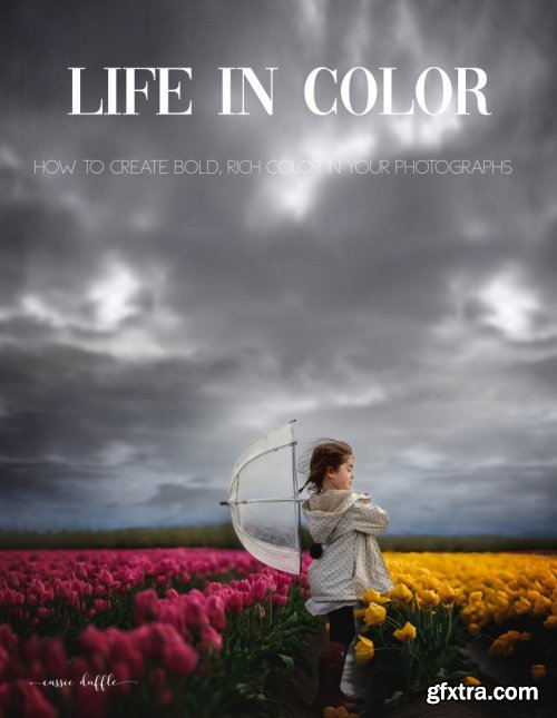 Clickinmoms - Life in Color: Creating bold, rich color in your photographs