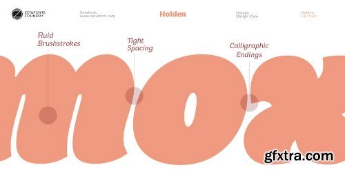 Holden Font Family - 12 Fonts