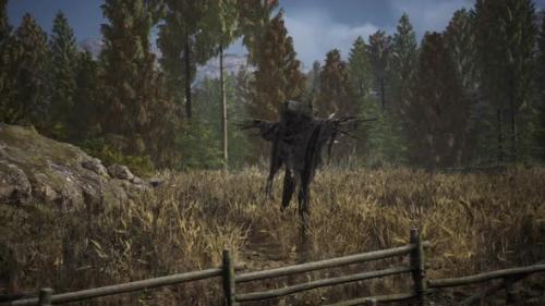 Videohive - Terrible Scarecrow in Dark Cloak and Dirty Hat Stands Alone in Autumn Field - 35266282 - 35266282