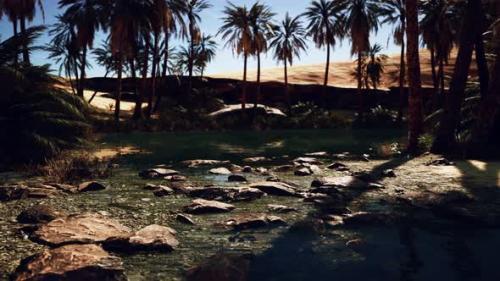 Videohive - Pond and Palm Trees in Desert Oasis - 35266295 - 35266295