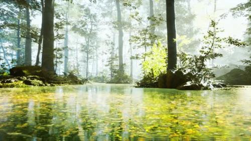 Videohive - Sunrise with Sunbeams Through the Forest By the Lake - 35266303 - 35266303