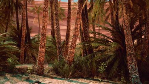 Videohive - Palm Trees in the Sahara Desert - 35266334 - 35266334