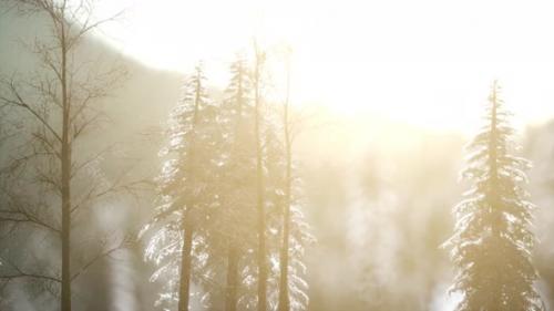 Videohive - Dramatic Winter Sunrise in the Mountains - 35266386 - 35266386