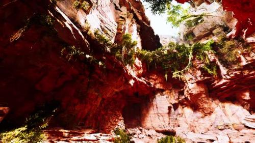 Videohive - Large Fairy Rocky Cave with Green Plants - 35266577 - 35266577