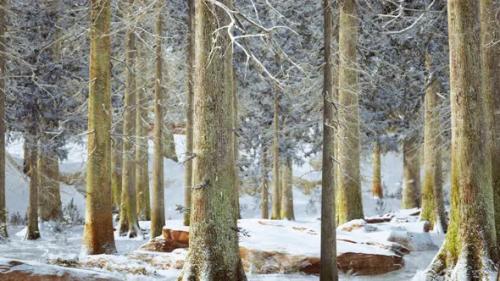 Videohive - Winter Calm Forest at Sunny Day - 35252622 - 35252622