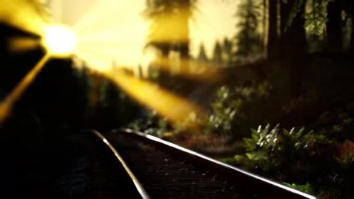 Videohive - Autumn Colours Along a Railway Track at Sunset - 35252654 - 35252654