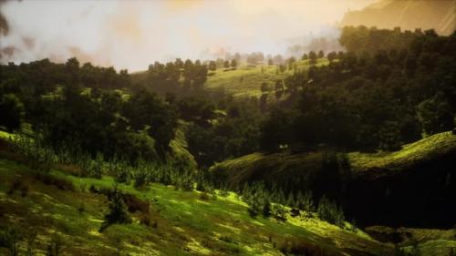 Videohive - Green Trees in Canyon at Sunset with Fog - 35250657 - 35250657