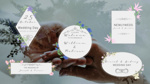 Videohive - New Wedding Titles - 35298221 - 35298221