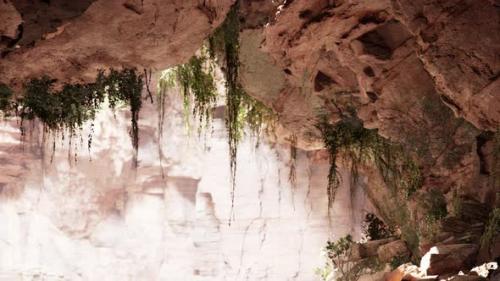 Videohive - Inside a Limestone Cave with Plants and Sun Shine - 35325510 - 35325510