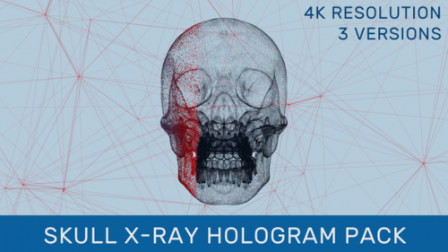 Videohive - Human Skull X-Ray Hologram Pack - 35334948 - 35334948