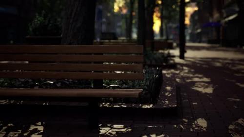 Videohive - Empty City Park During the Covid 19 Pandemic - 35367028 - 35367028
