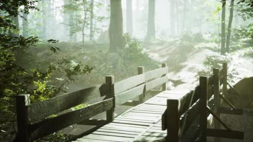 Videohive - Old Wooden Bridge Over a Small Stream in a Park - 35367700 - 35367700