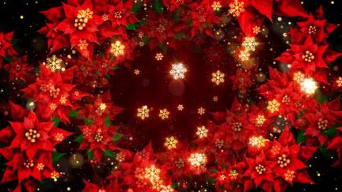 Videohive - Christmas Poinsettia - 35288511 - 35288511