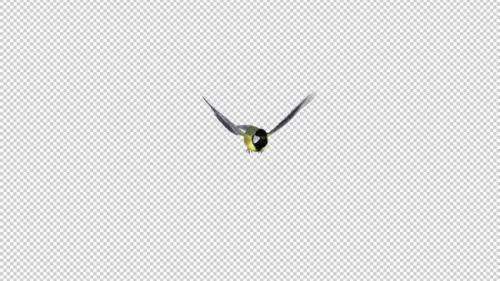 Videohive - Yellow Tit Bird - Flying Transition 4 - Alpha Channel - 35289302 - 35289302