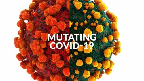 Videohive - Corona Virus Mutating to Omicron Variant - 35271344 - 35271344