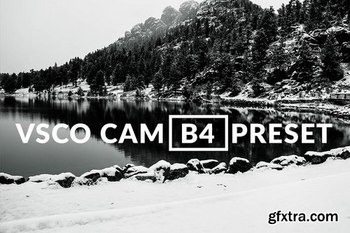 VSCO INSPIRED B4 LIGHTROOM PRESET BW 2184516