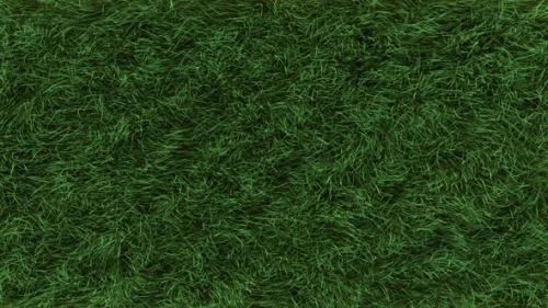 Videohive - Grass Fast Top View Loop - 35269800 - 35269800