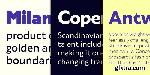 Agile Sans Font Family -18 Fonts