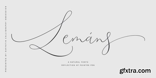 Lemans Pen Script Font Family - 2 Fonts