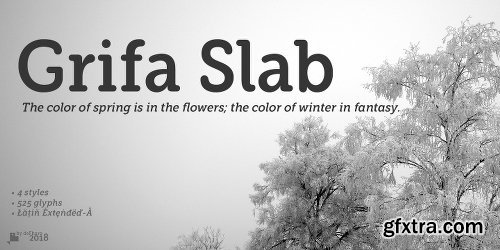 Grifa Slab Font Family - 4 Fonts