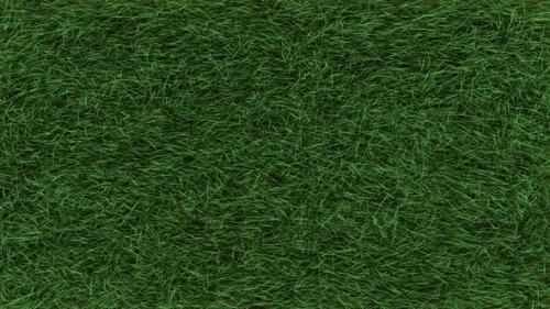 Videohive - Grass Slow Top View Loop 4K - 35320438 - 35320438