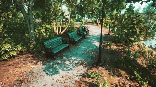 Videohive - Empty Benches in the Park During the Quarantine Due to the Pandemic COVID19 - 35324919 - 35324919