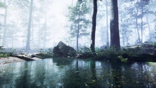 Videohive - Mist on Pond in Forest with Fog - 35325140 - 35325140