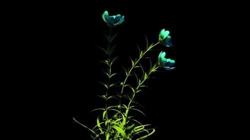 Videohive - Wild Flowers Botanical Floral 3D Rendering - 35329114 - 35329114