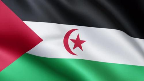 Videohive - Flag of Sahrawi (Western Sahara) | UHD | 60fps - 35336927 - 35336927