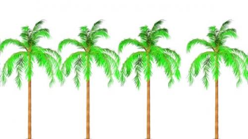 Videohive - Queen Palm Botanical 3D Rendering - 35358866 - 35358866