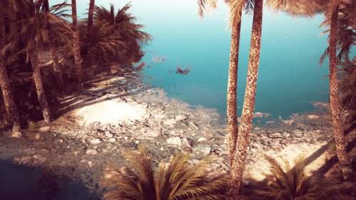 Videohive - Pond and Palm Trees in Desert Oasis - 35367160 - 35367160