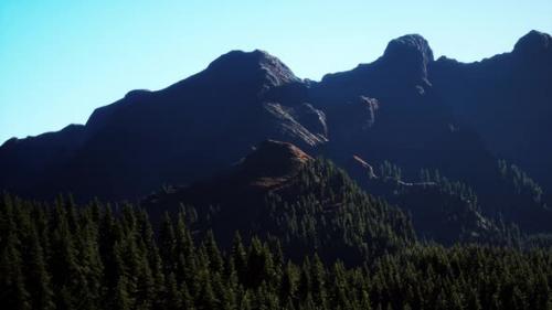 Videohive - Wide Angle Shot of Mountains Landscape with Spring Forest - 35367329 - 35367329