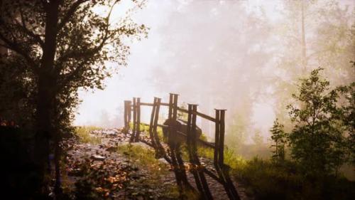 Videohive - Sunbeams Entering Forest on a Misty Autumnal Morning - 35367583 - 35367583